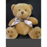 HAPPY TEDDY
